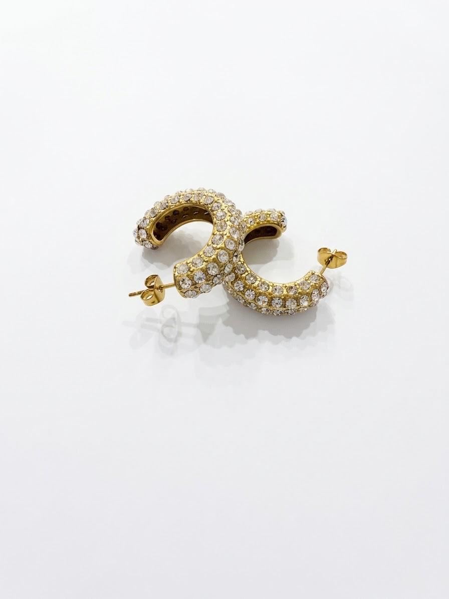 Bally Earrings