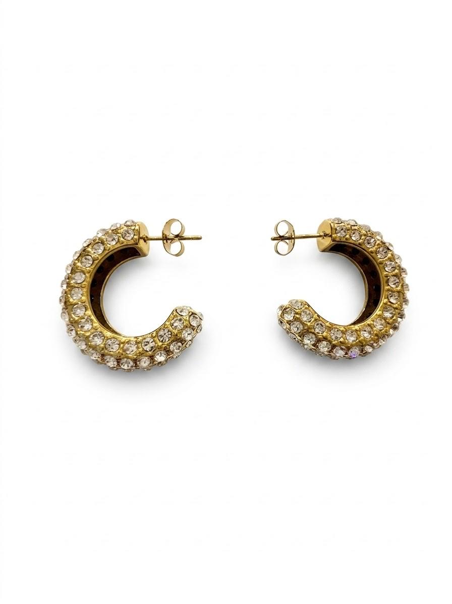 Bally Earrings