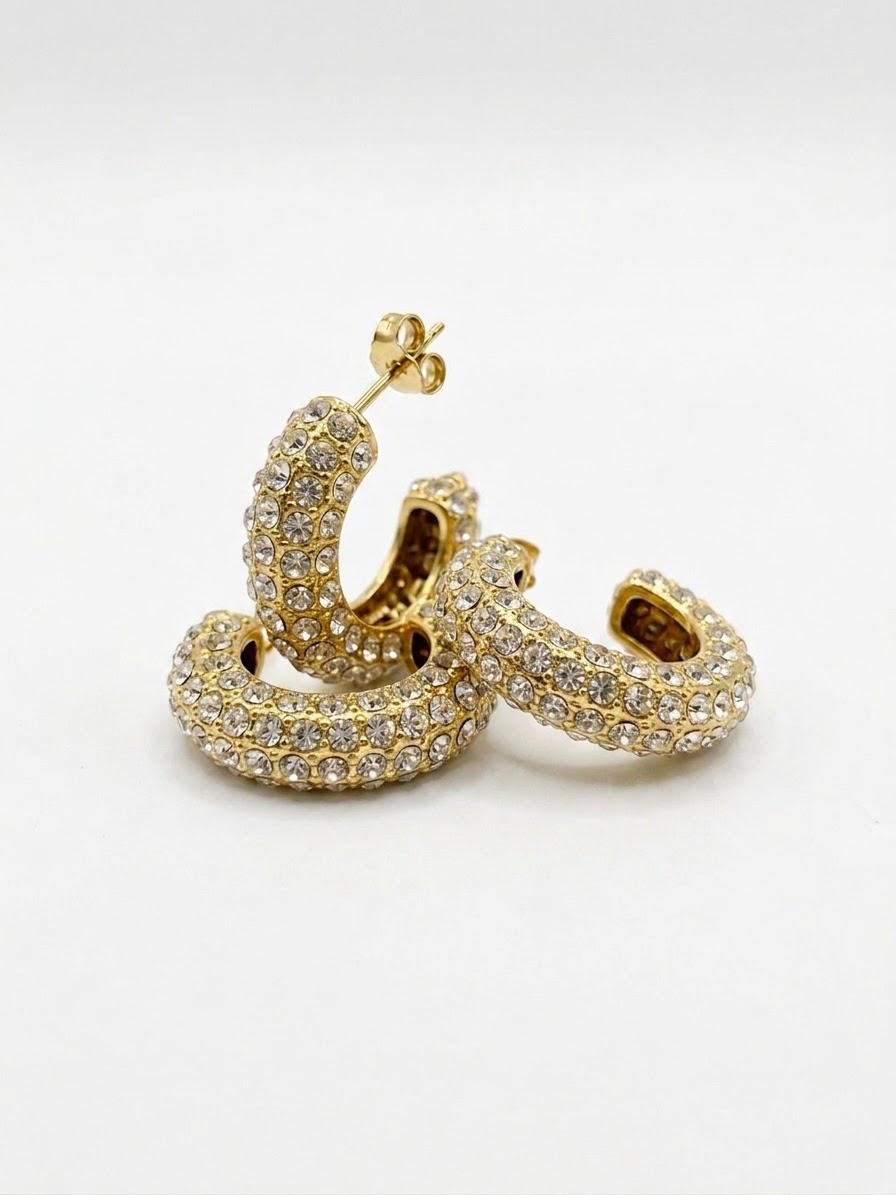 Bally Earrings
