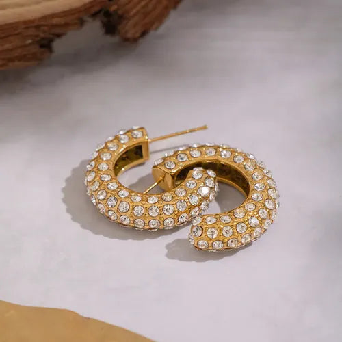 Bally Earrings